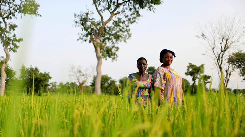 Farmers in Togo