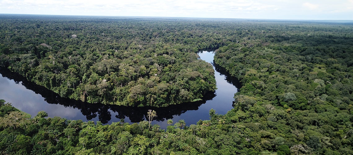 Three priorities to turn natural capital into wealth for the people of the Congo Basin