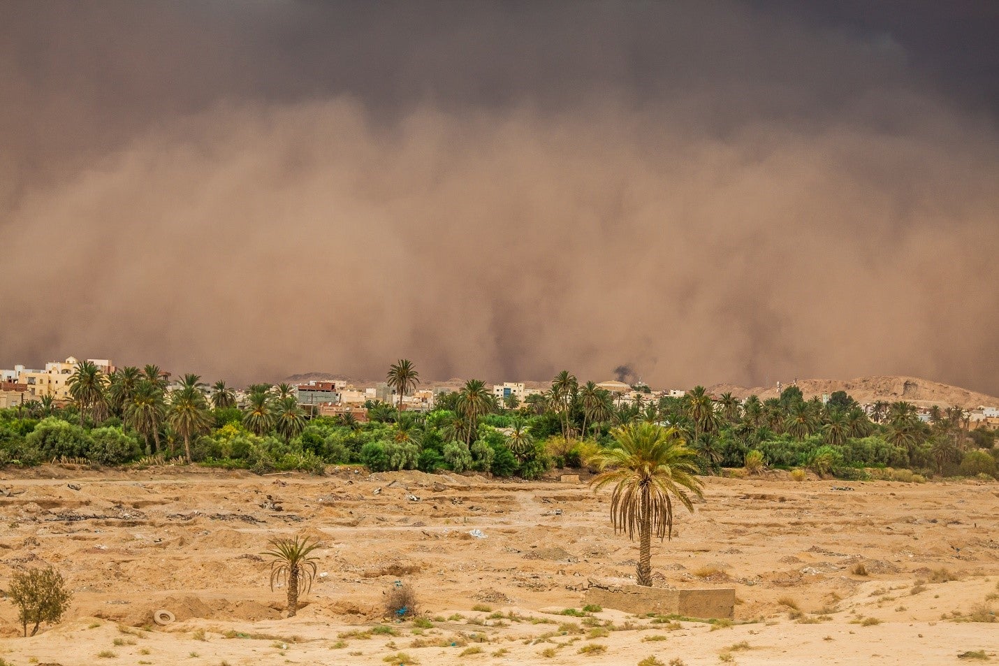 Tempête de sable et un nuage orange planant sur Gafsa, Tunisie. (Lukasz Janyst / Shutterstock.com) Tempête de sable et un nuage orange planant sur Gafsa, Tunisie. (Lukasz Janyst / Shutterstock.com)