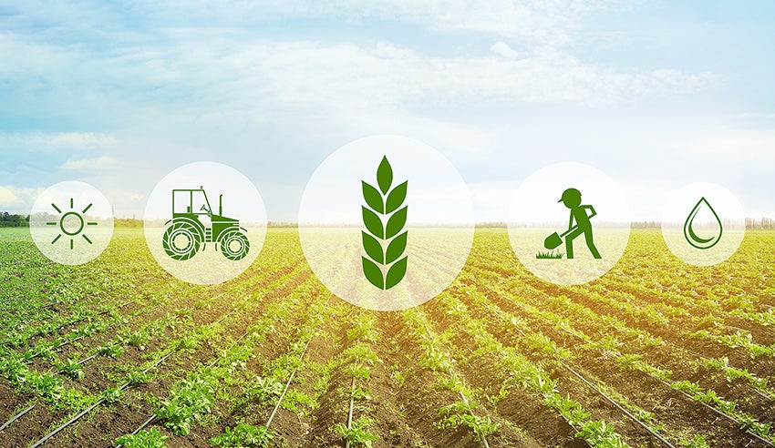 Image: Digital Agriculture