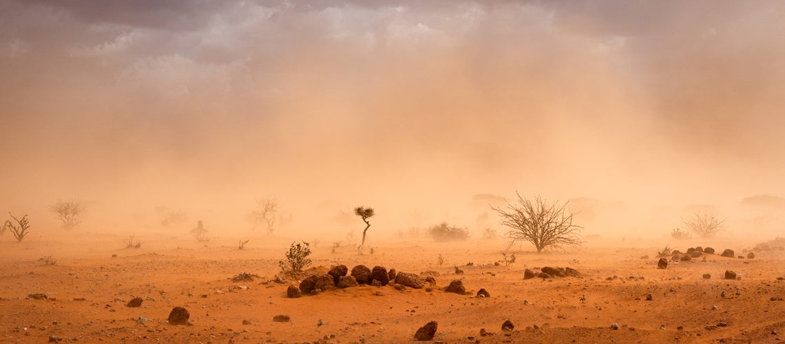 Dusty sandstorm in Africa. Photo credit: Shutterstock
