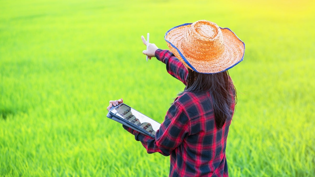 A farmer monitors crop quality with the help of a tablet computer.