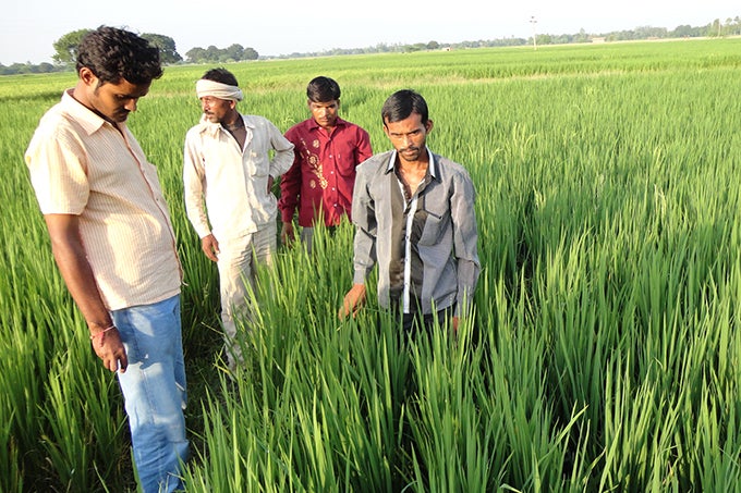 Farmers-standing-in-a-reclaimed-field-now-producing-crops