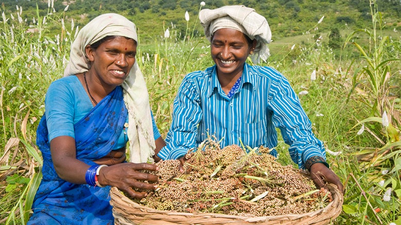 Farmers in India and beyond will benefit as climate-smart agriculture scales up around the world. © ICRISAT Farmers