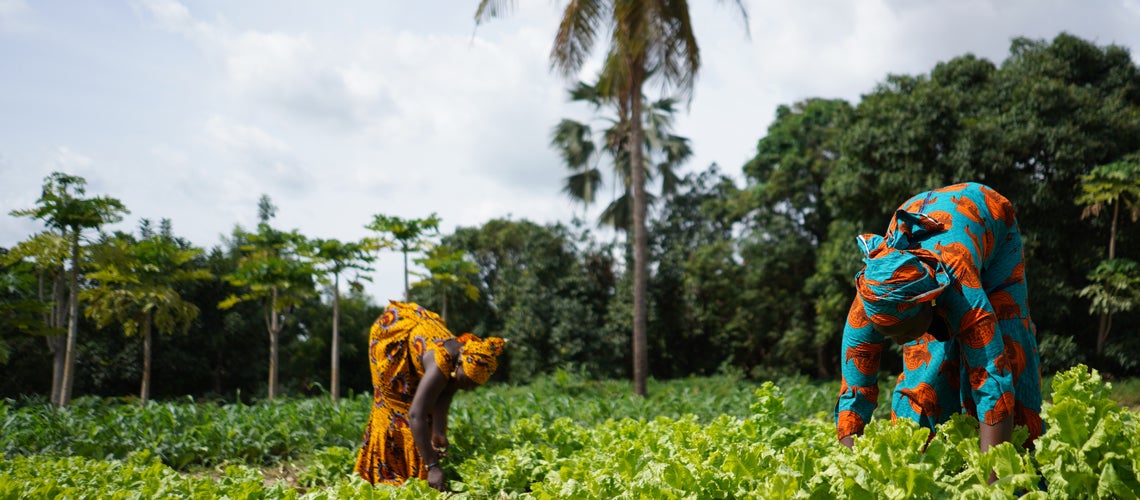 Two women in a West African farming village. Photo credit: Shutterstock Two women in a West African farming village. Photo credit: Shutterstock