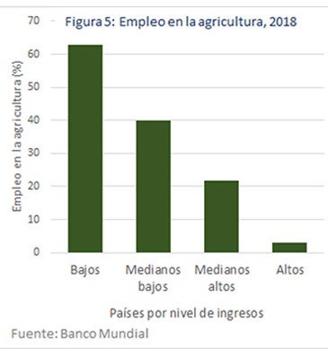 Figura 5: Empleo en la agricultura, 2018