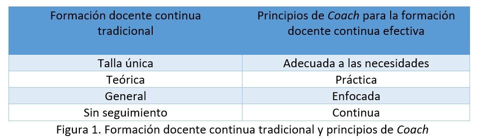 Figura 1
