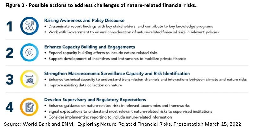 Possible actions to address challenges of nature-related financial risks.