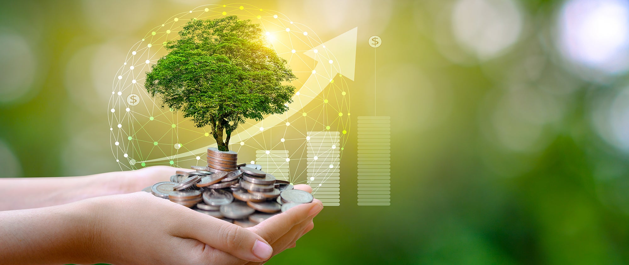 Green finance concept: caring hands, a tree, coins, and a promising chart | © shutterstock.com Green finance concept: caring hands, a tree, coins, and a promising chart | © shutterstock.com