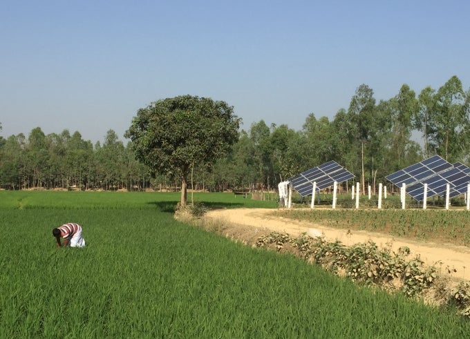 Solar Irrigation Pumps in Bangladesh