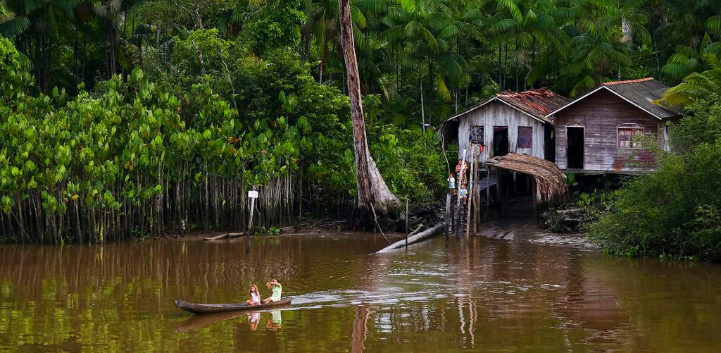 Amazonian Rainforest in Marajo Island, Brazil - Photo by Marcelo Camargo/Agência Brasil