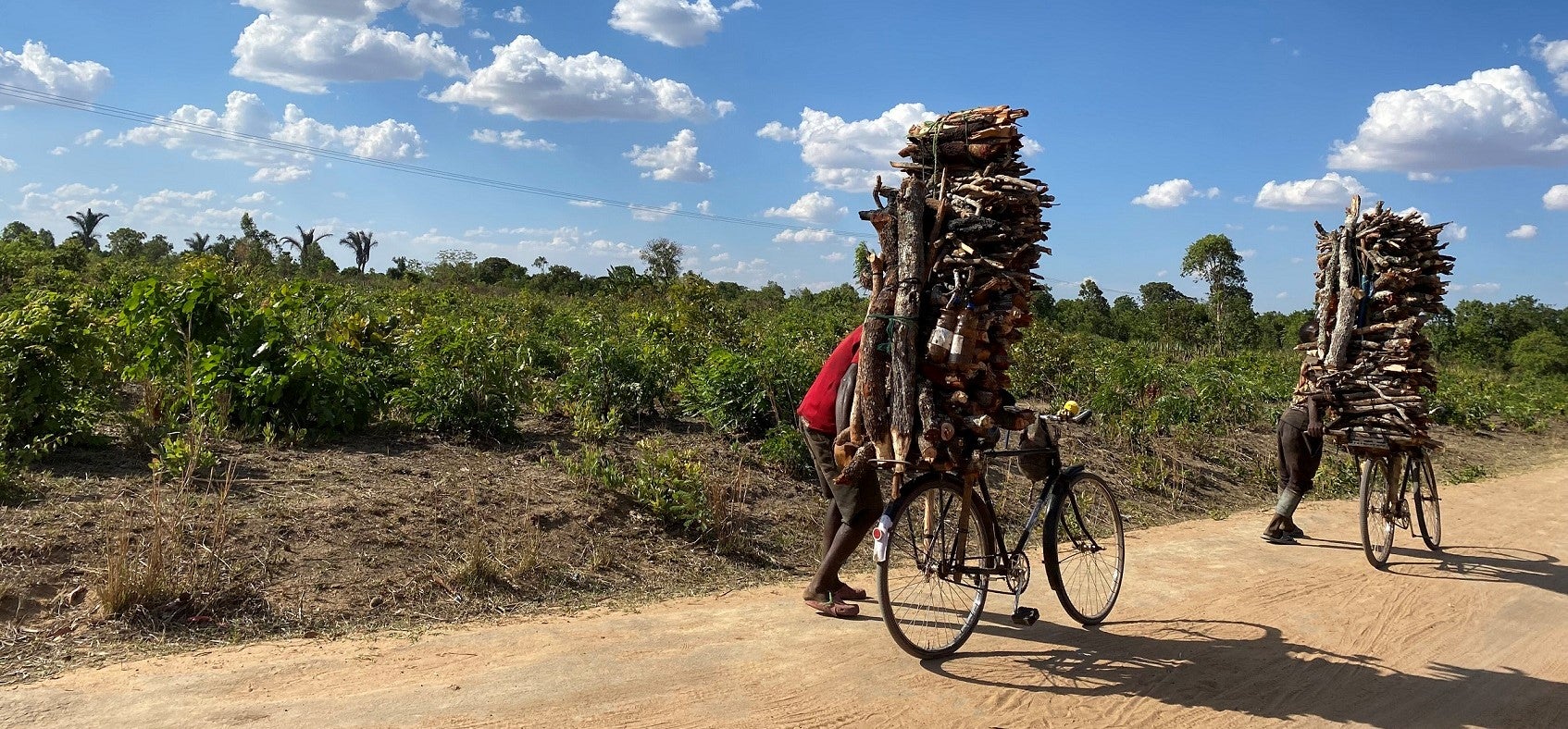 Firewood traders from Ndzalanyama forest in Malawi