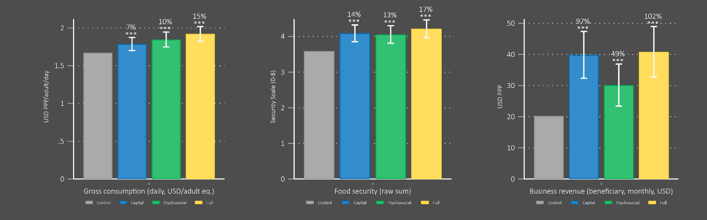 Impacts on consumption and food security 