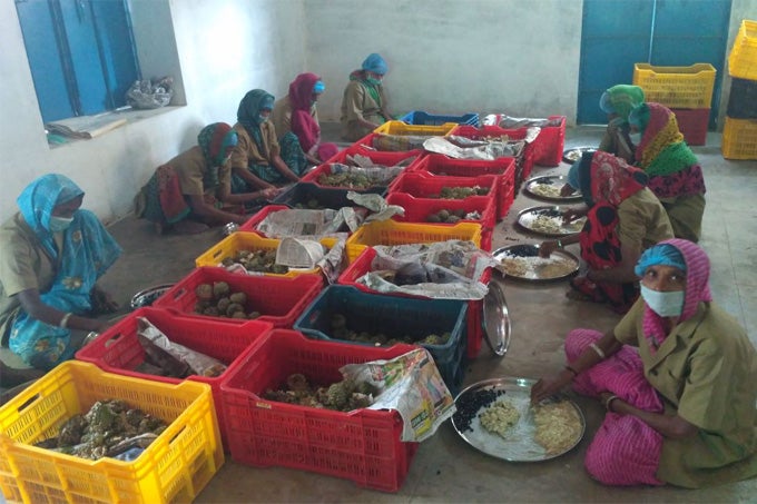 Community hall converted into the pulp extraction unit In-enterprise-blog-feb2019-1
