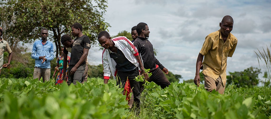 Achieving gender and youth inclusivity in Malawi through Productive Alliances 