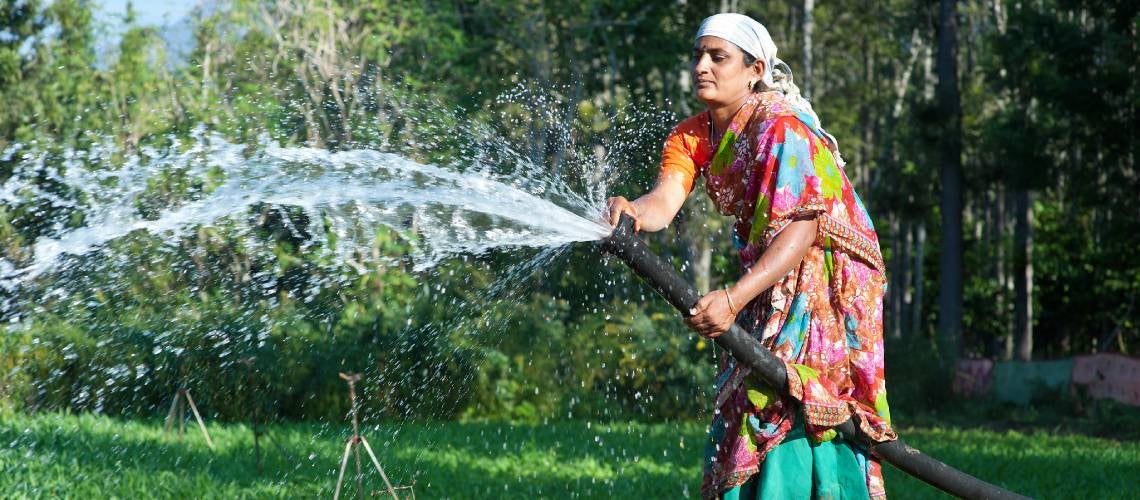 A woman waters her garden in India.  Photo: Hamish John Appleby/IWMI