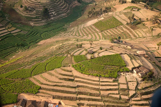 The role of PPPs in Land Management 