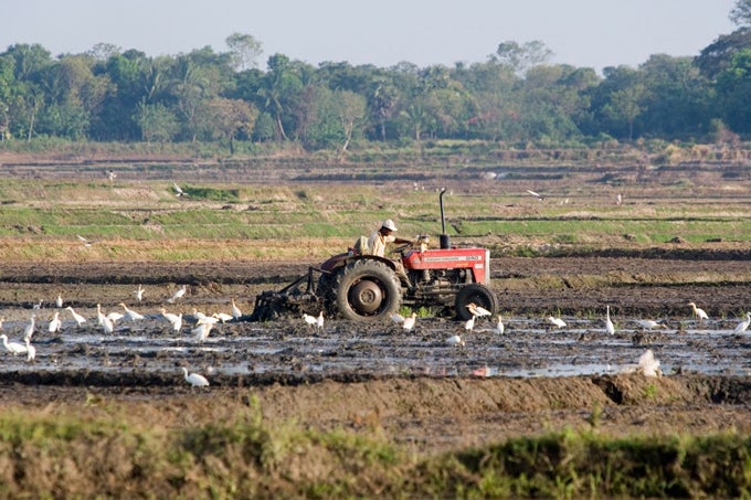 Lka-agri-dev