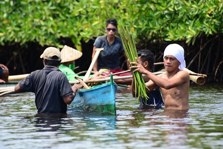 © Ursula Meissner/The Nature Conservancy Mangroves