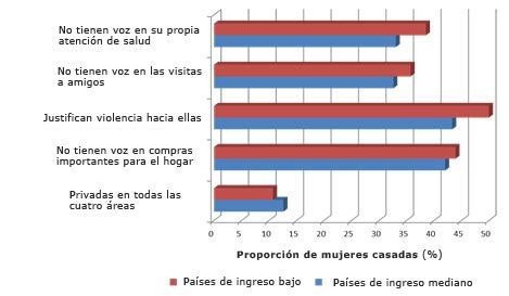 Salud maternal gráfica.