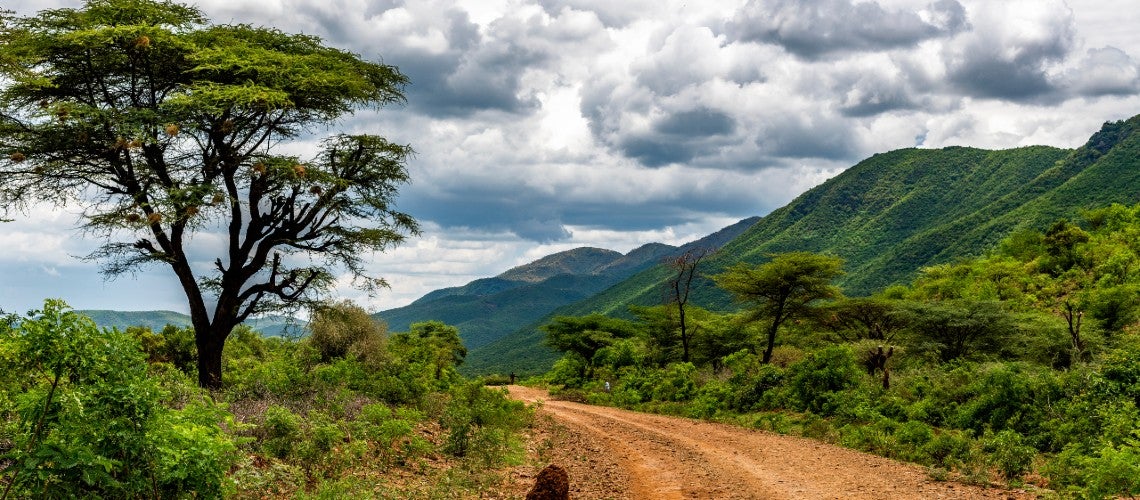 10,000 kilometers of roads in Kenya have been upgraded be resilient to the ravages of climate change through foreign direct investment and guarantees 10,000 kilometers of roads in Kenya have been upgraded be resilient to the ravages of climate change through foreign direct investment and guarantees