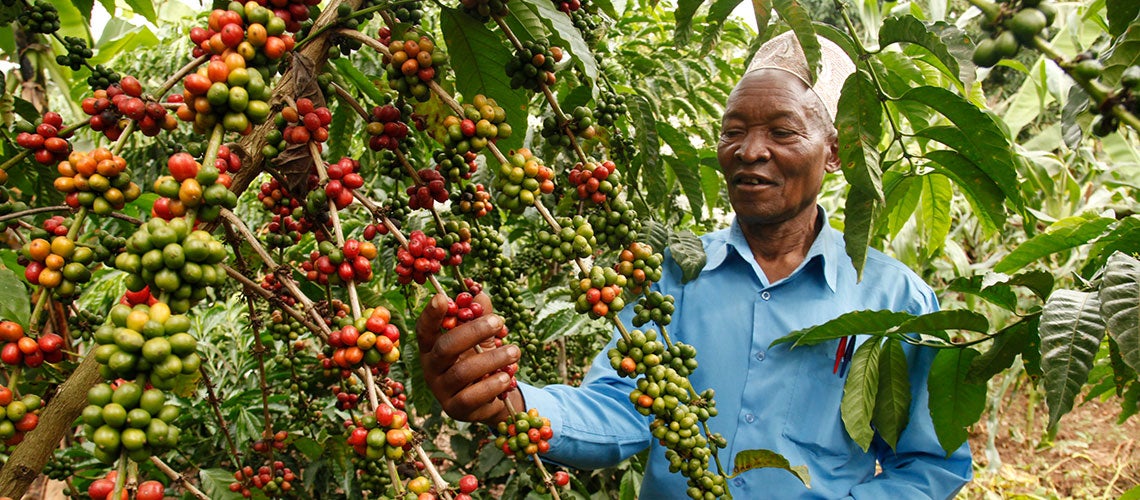 Modernizing land administration to accelerate Uganda?s economic growth Modernizing land administration to accelerate Uganda?s economic growth