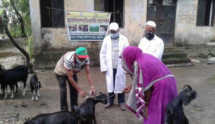 animal vaccination campaigns in Bangladesh during COVID-19
