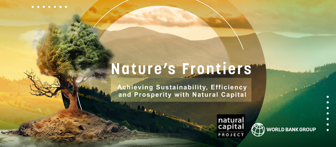 Stylized image of a mountain landscape with a tree in the forefront in tones of yellow and green with report title "Nature?s Frontiers, Achieving Sustainability, Efficiency, and Prosperity with Natural Capital".