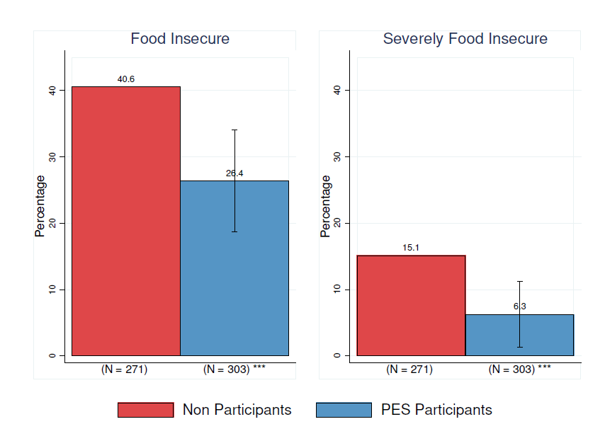 Food Insecurity Experience Scale (FIES)