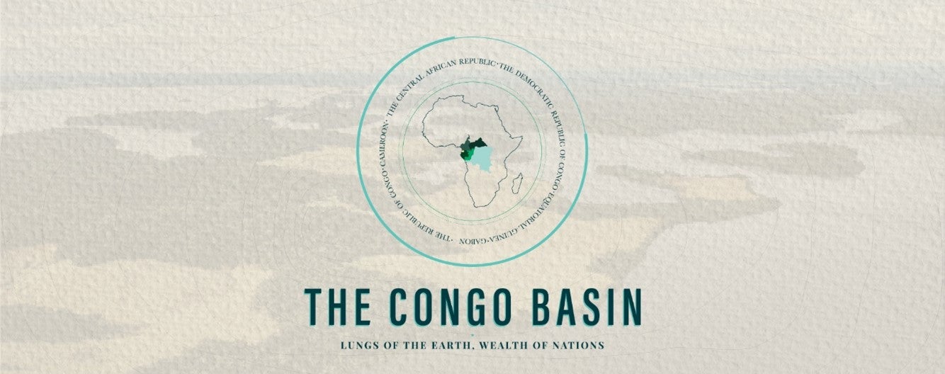 Welcome to the Congo Basin