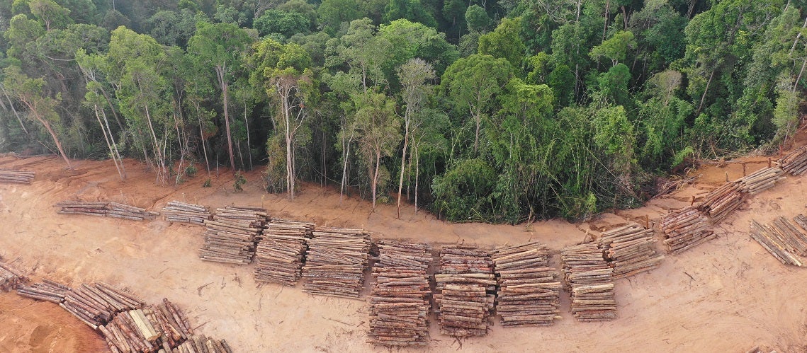 Deforestation. Aerial photo of logging in Malaysia rainforest