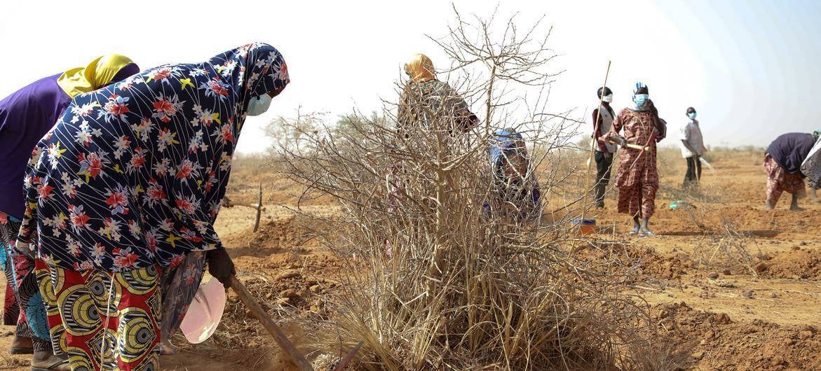 The Satara market garden in Tillaberi region, Niger. Photo Credit: ©WFP/Mariama Ali Souley