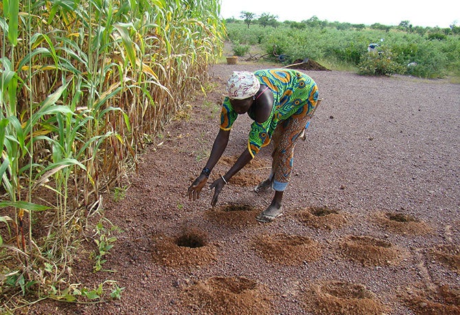 Climate smart farming practices in Senegal.
