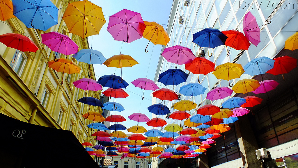 Serbia Umbrellas