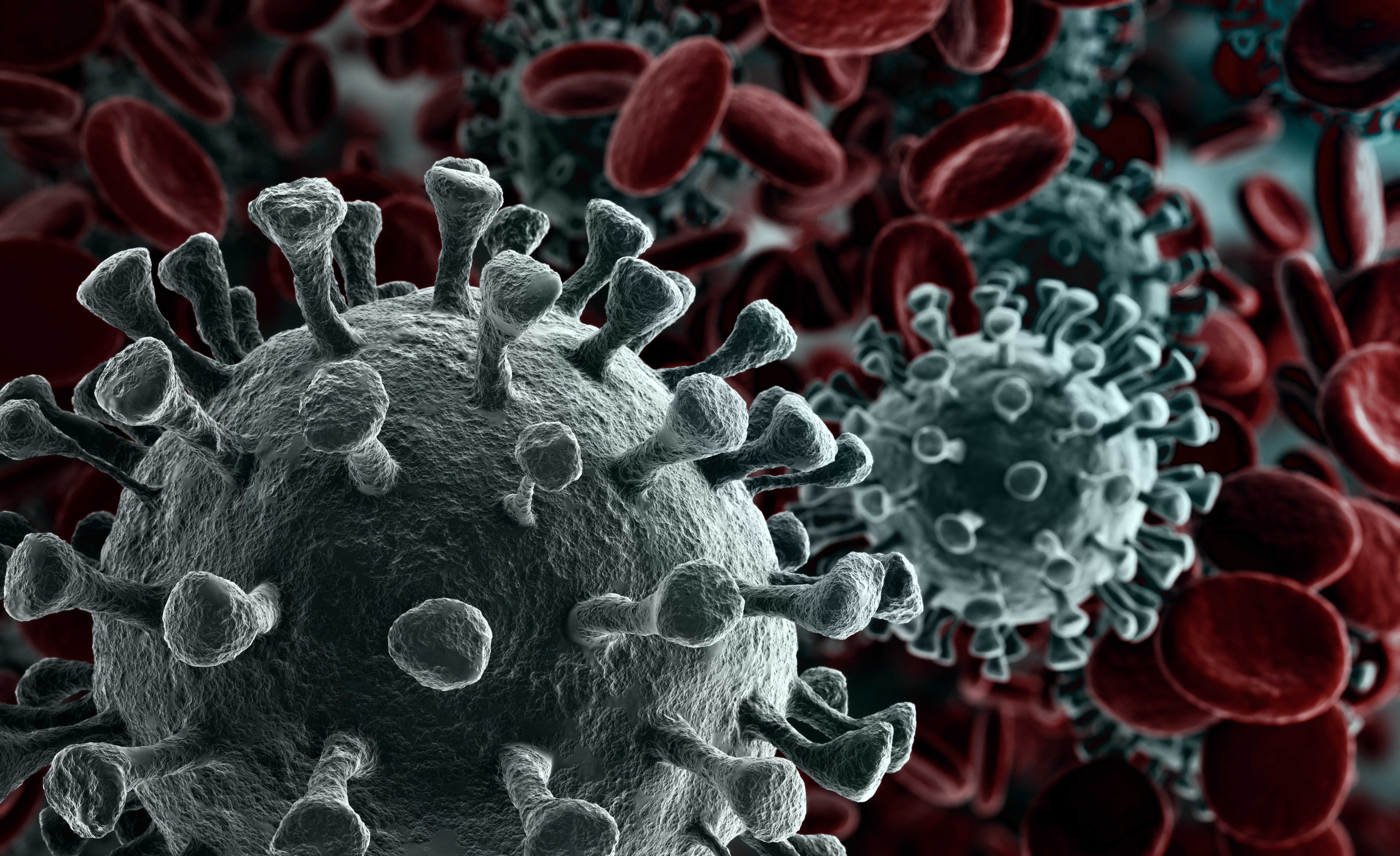 3D rendering Coronavirus 2019-nCov novel coronavirus 3D rendering Coronavirus 2019-nCov novel coronavirus