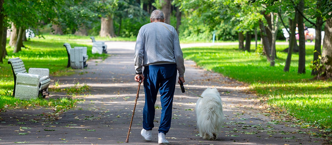 Photo credit: Shutterstock Photo credit: Shutterstock
