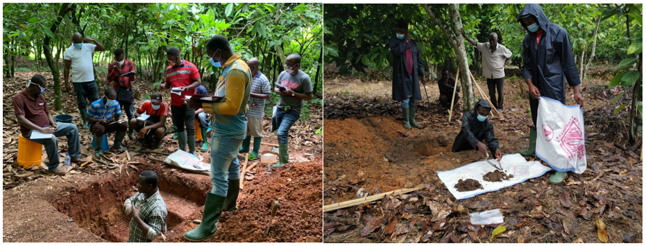 Soil scientist and farmers examining and collecting soil samples for the mapping 