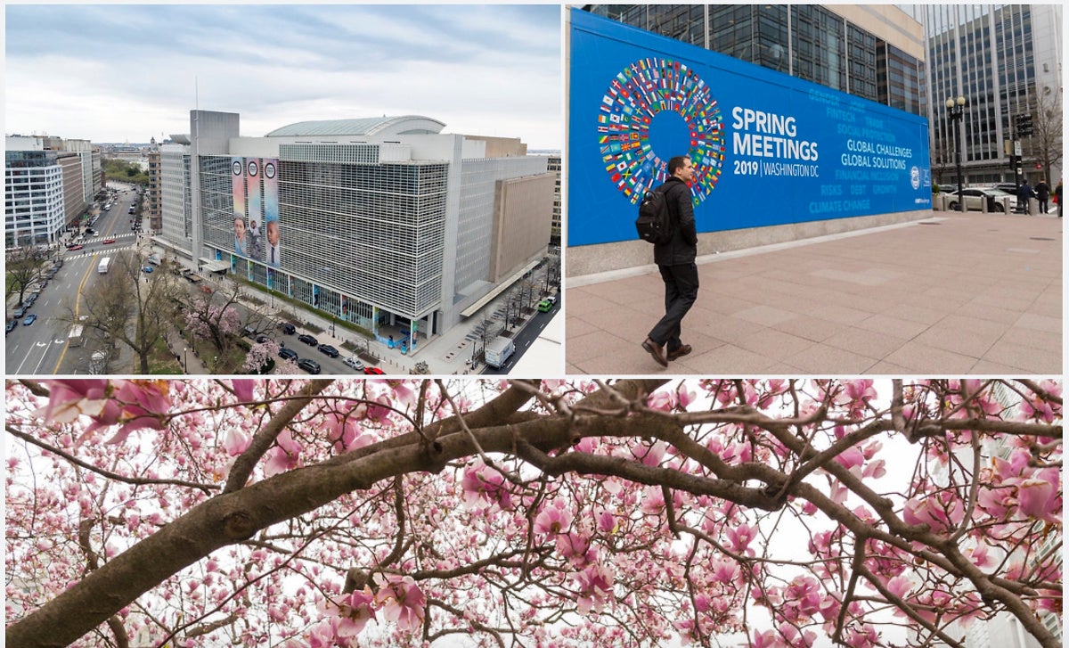Spring Meeting 2019 Collage Dxo