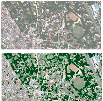 A deep learning algorithm used by students of the Resilience Academy in Dar Es Salaam Tanzania to accurately distinguishes tree canopy from built-up areas and other vegetation