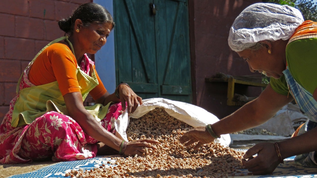 The tribal farmers collective has diversified into processing millets and strengthened their value-added venture of soap and beeswax production. 