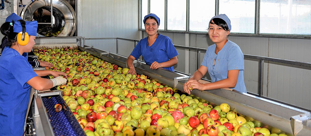 Food processing plant, Uzbekistan Food processing plant, Uzbekistan
