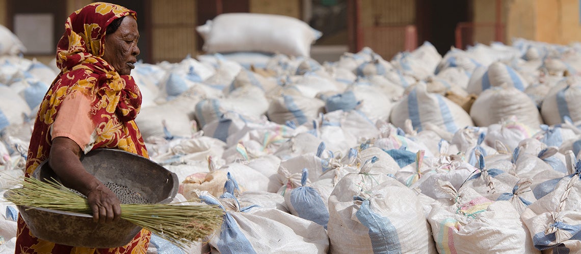 Scenes from Al Obaied Crop Market, North Kordofan Workers sort, repack and ship Gum Arabic lots. | © Salahaldeen Nadir / World Bank